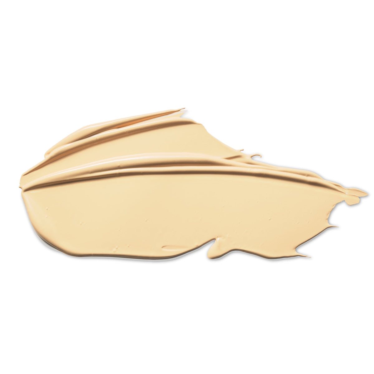 CAMERA FINISH CONCEALER
