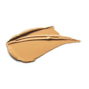 CAMERA FINISH CONCEALER